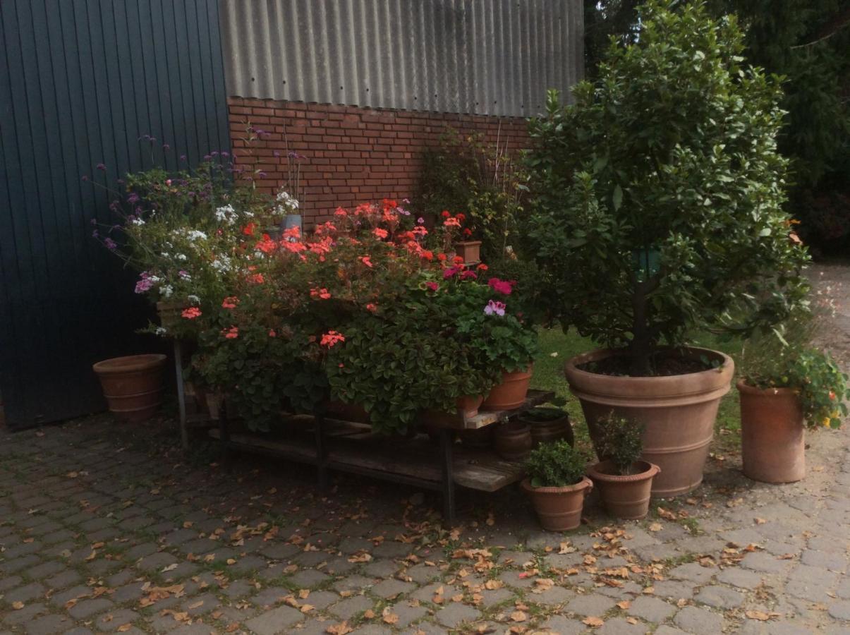 Ferienwohnung Haumannshof Xanten Exteriér fotografie
